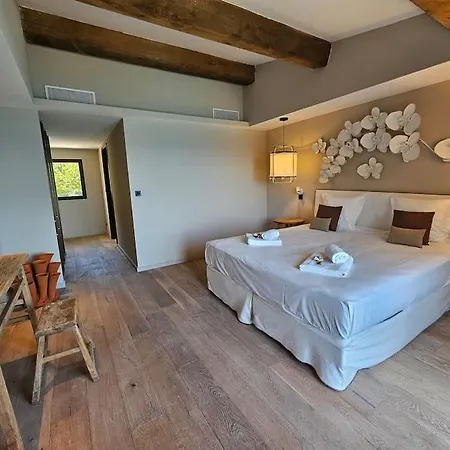 Prestige Au Bord De L'eau- Misincu Cagnano